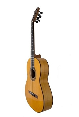 Flamenco & Classical 270x400